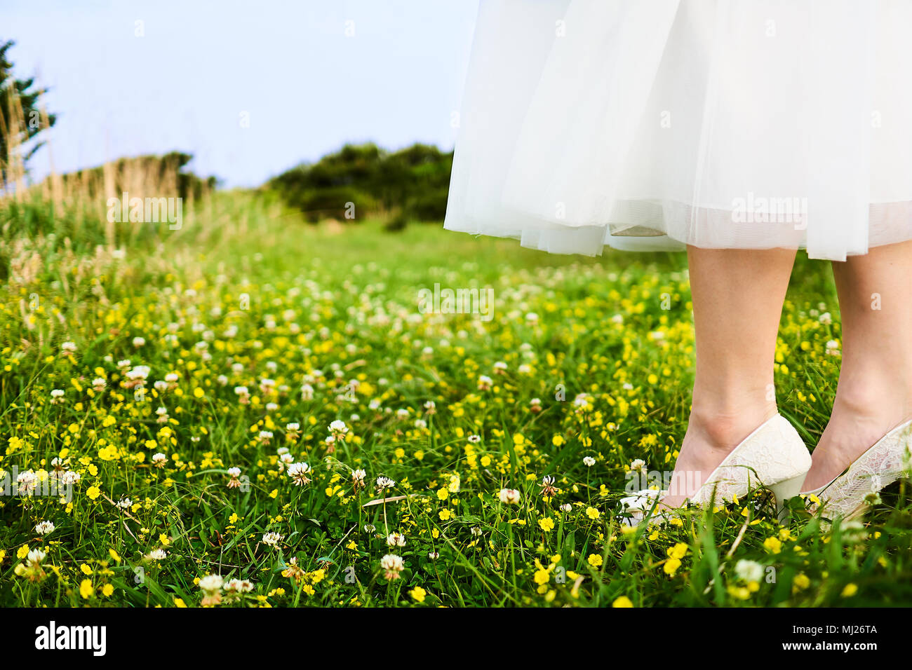 Donna asiatica che indossa allacciato bianco abito nuziale bianco e tacchi a il fiore giallo campo situato sulle scogliere della bellissima isola di Jeju Foto Stock