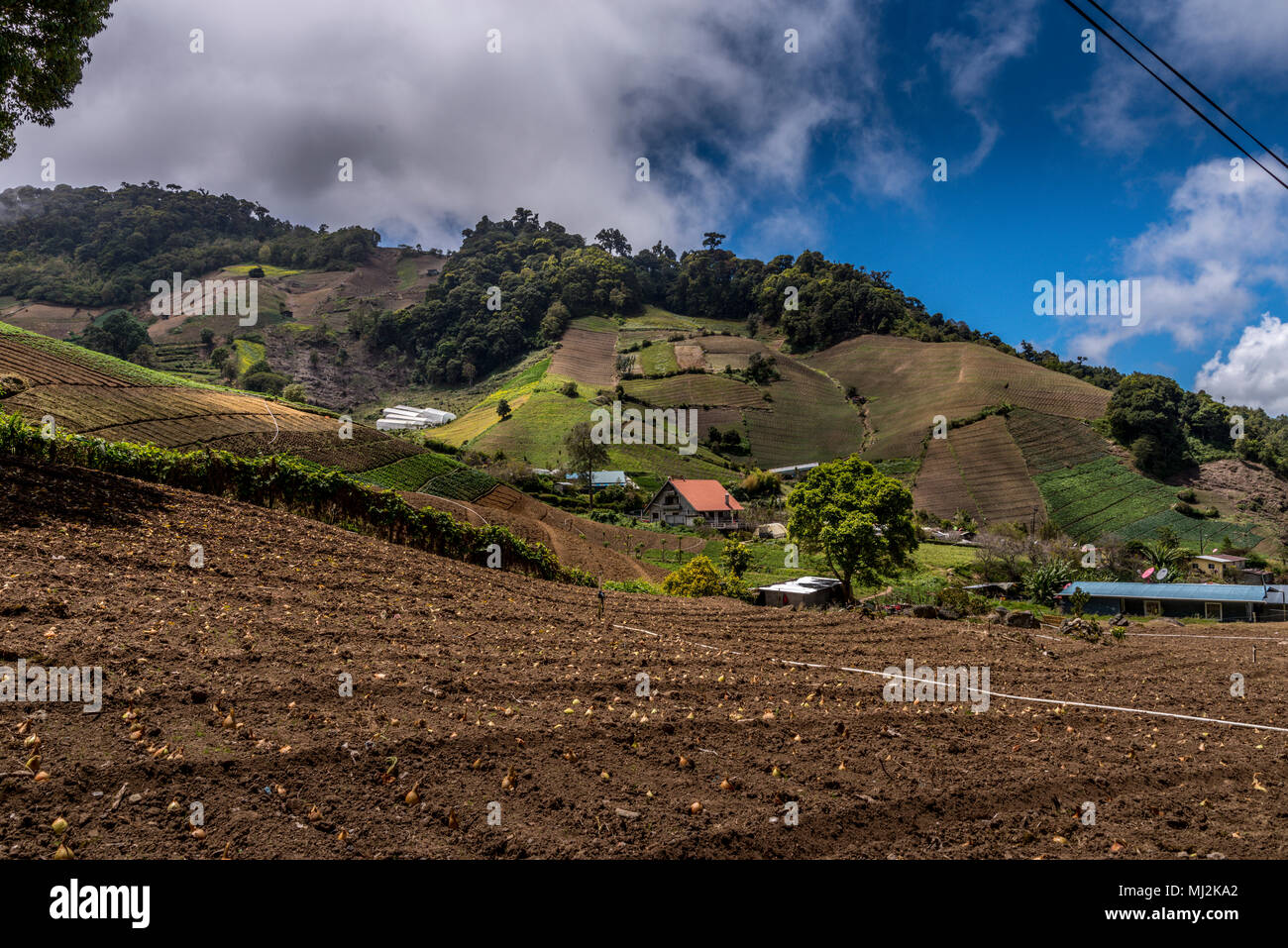 Cerro Punta Highland Agricoltura Foto Stock