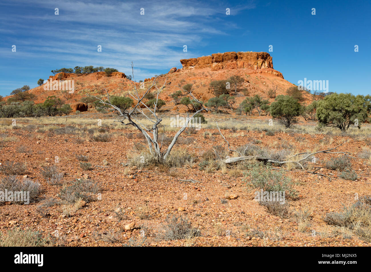 Lilleyvale colline, Boulia, Queensland, Australia. Red mesas del Lilleyvale colline a Cawnpore Lookout sullo sviluppo di Kennedy Road tra Boulia Foto Stock