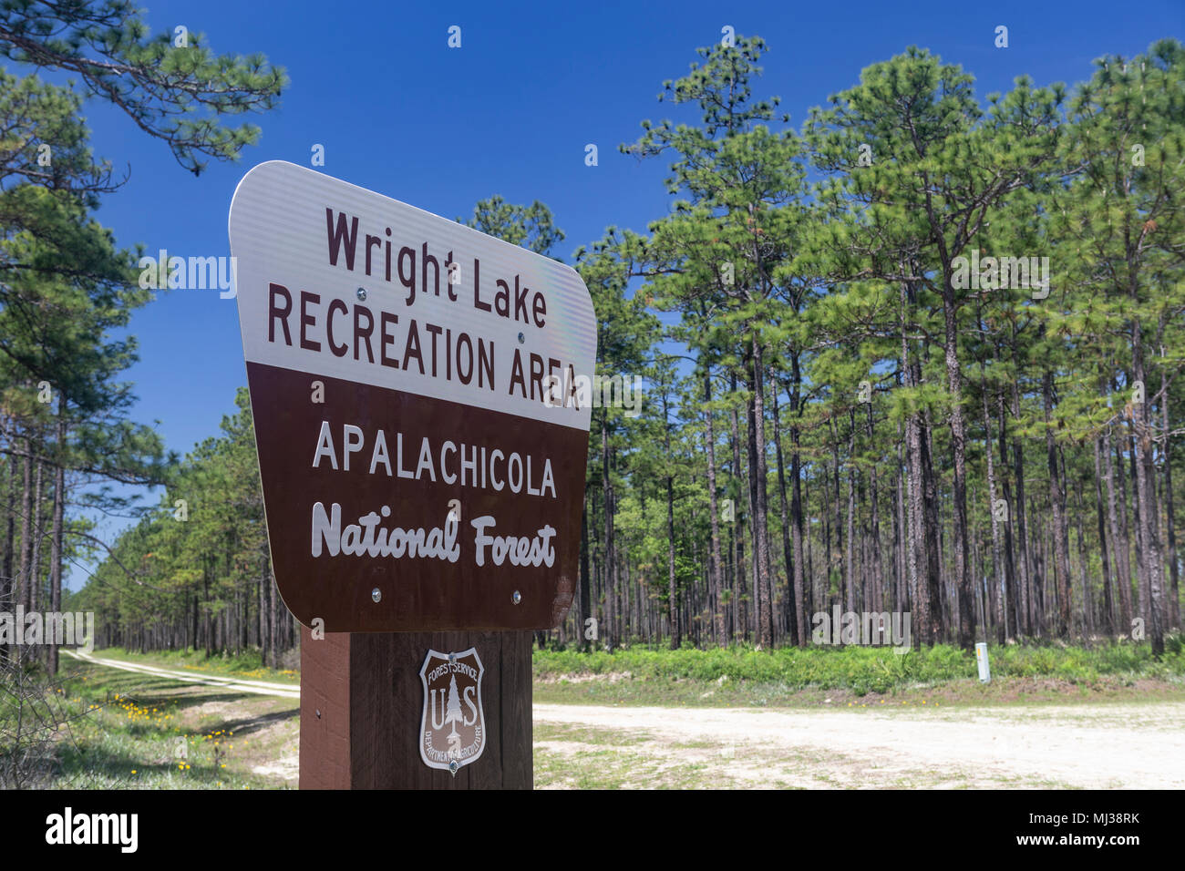 Un segno segna l'entrata al lago Wright Recreation Area in Apalachicola National Forest nel panhandle della Florida. Foto Stock