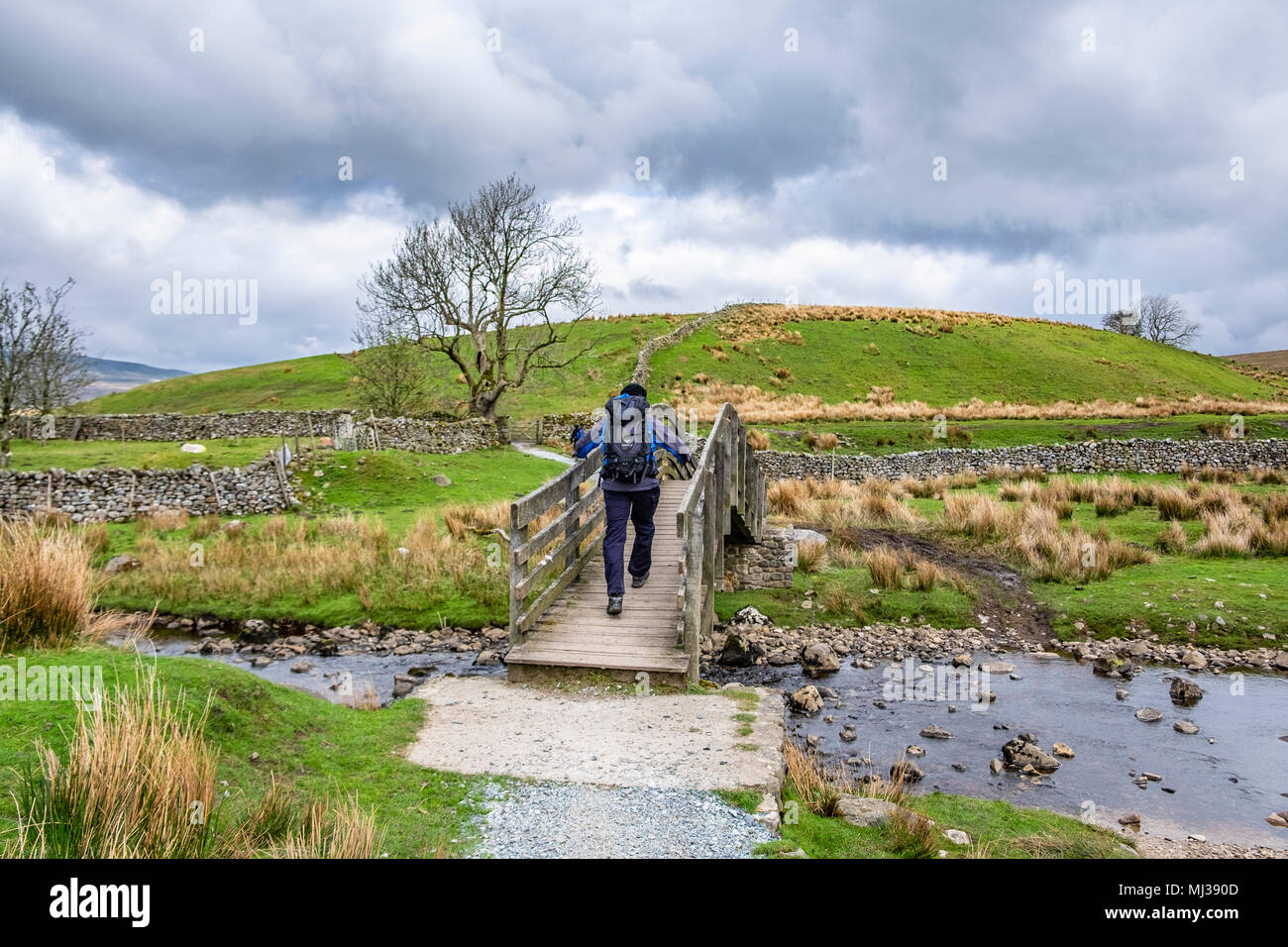 Walker facendo tre cime sfida , North Yorkshire, Inghilterra Foto Stock