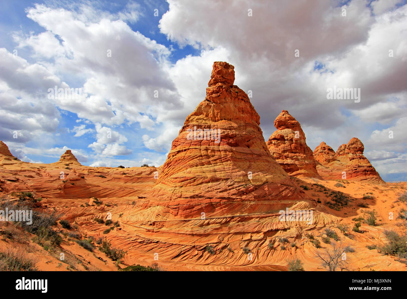 Pioppi neri americani Teepees, una formazione di roccia nei pressi di onda in Coyote Buttes Sud CBS, Paria Canyon Vermillion Cliffs Wilderness, Arizona Foto Stock