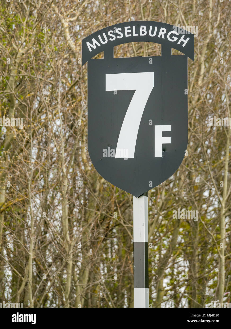 Musselburgh, Scozia, 4 maggio 2018. Musselburgh Race Course, Musselburgh, East Lothian, Scozia, Regno Unito. Il 7 furlong marcatore Foto Stock