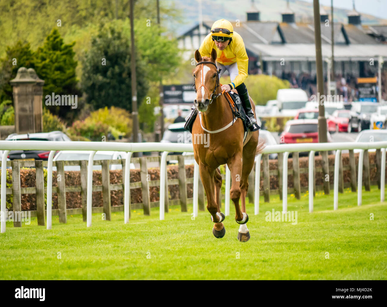 Musselburgh, Scozia, 4 maggio 2018. Circuito di Musselburgh, Musselburgh, East Lothian, Scozia, Regno Unito. Una corsa di cavalli galoppa al punto di partenza al pomeriggio piatto corsa di cavalli incontro. Cavallo ‘Harome’ cavalcato dal jockey Tony Hamilton Foto Stock