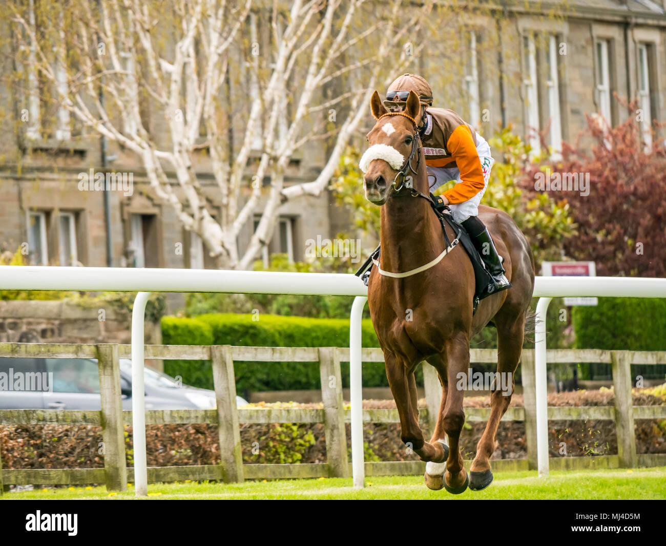 Musselburgh, Scozia, 4 maggio 2018. Musselburgh Race Course, Musselburgh, East Lothian, Scozia, Regno Unito. Una corsa di cavalli galoppa per la partenza al pomeriggio flat horse racing si incontrano. Cavallo " Lexington posto' cavalcato da Jack jockey Garritty in 2.40 Boogie al mattino Handicap Foto Stock