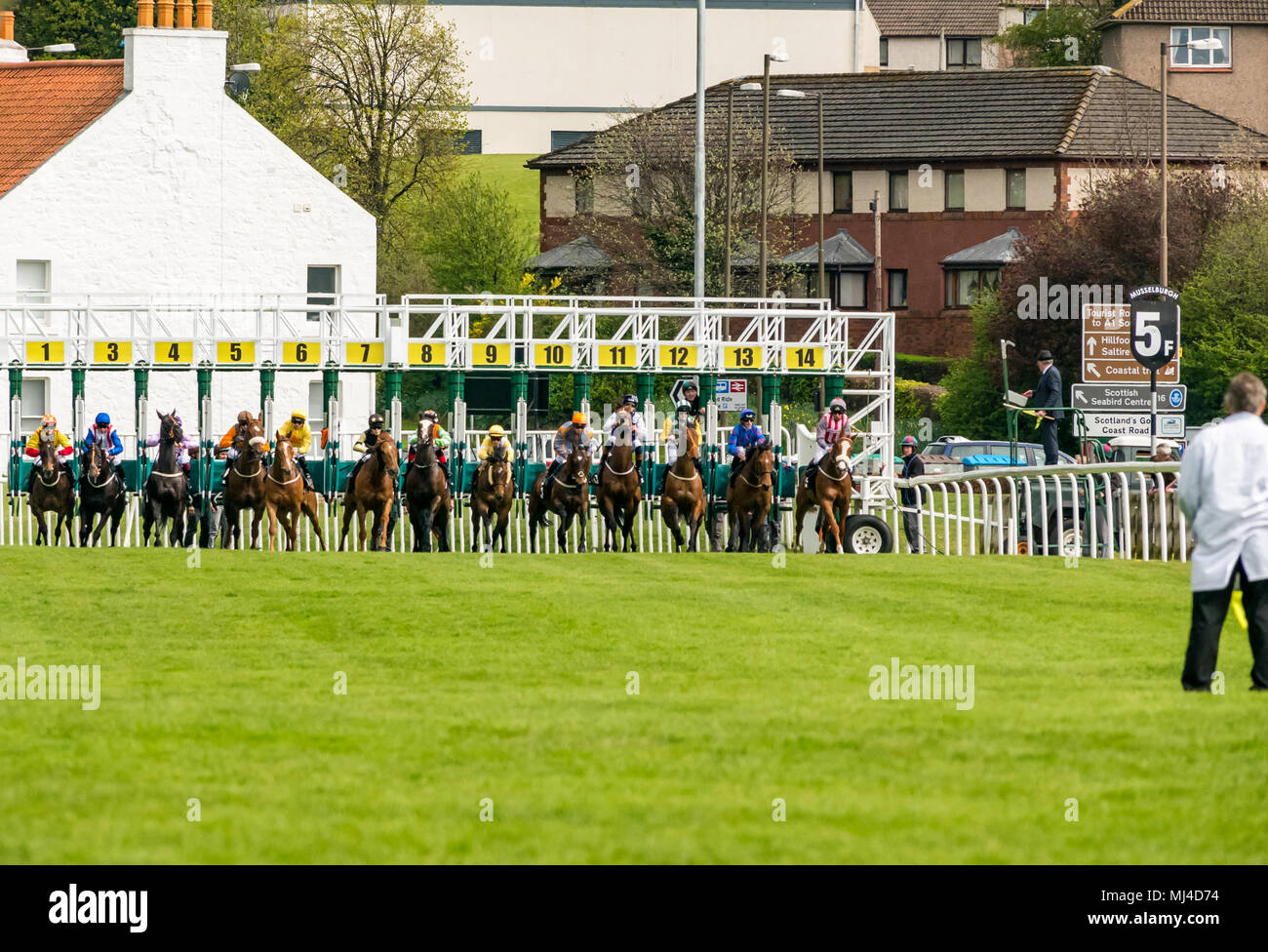 Musselburgh, Scozia, 4 maggio 2018. Musselburgh Race Course, Musselburgh, East Lothian, Scozia, Regno Unito. I cavalli da corsa al pomeriggio flat racing si incontrano. I cavalli da salto fuori del cancello di partenza in 2.40 Boogie al mattino Handicap Foto Stock
