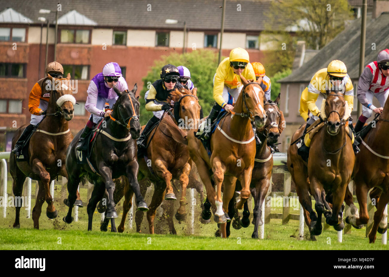 Musselburgh, Scozia, 4 maggio 2018. Musselburgh Race Course, Musselburgh, East Lothian, Scozia, Regno Unito. I cavalli da corsa il tuono del passato al pomeriggio flat racing si incontrano nel 2.40 Boogie al mattino Handicap Foto Stock