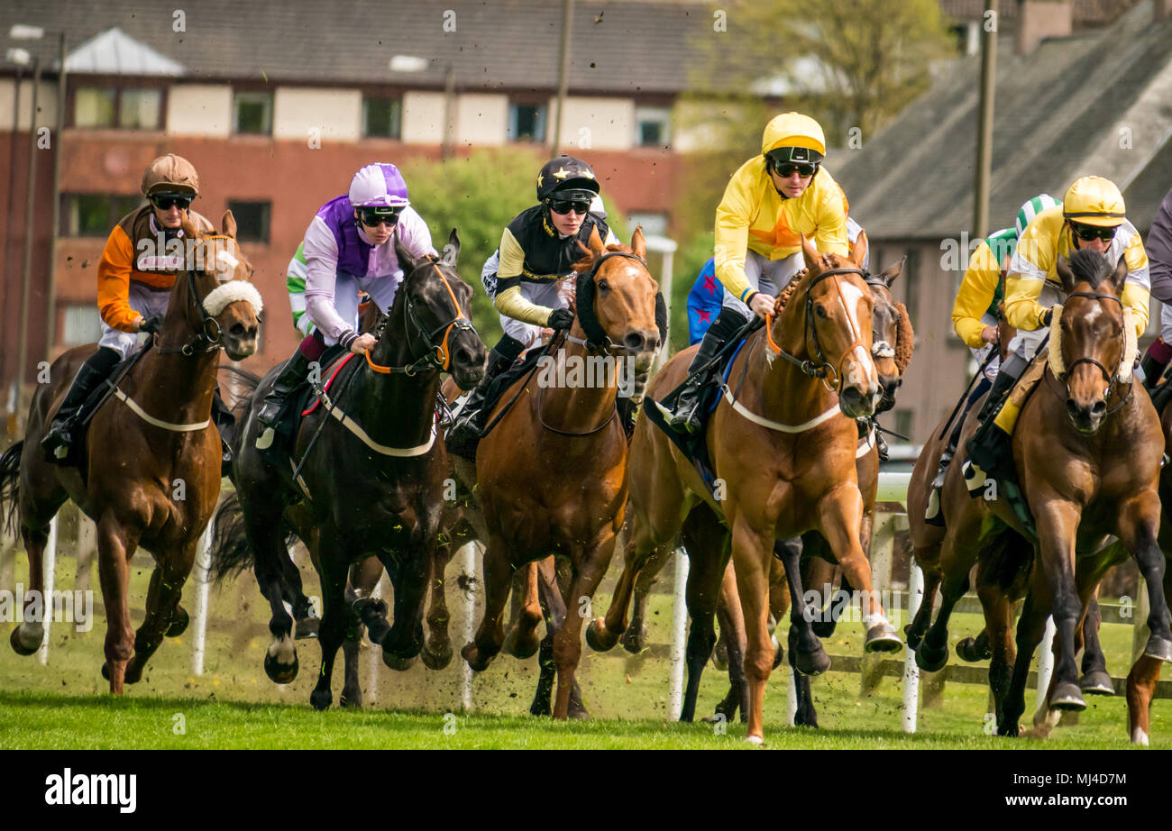 Musselburgh, Scozia, 4 maggio 2018. Musselburgh Race Course, Musselburgh, East Lothian, Scozia, Regno Unito. I cavalli da corsa il tuono del passato al pomeriggio flat racing si incontrano nel 2.40 Boogie al mattino Handicap Foto Stock