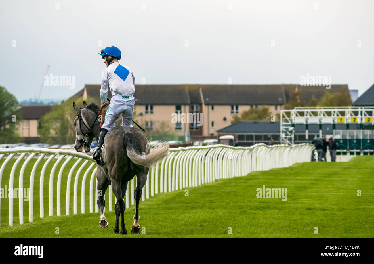 Musselburgh, Scozia, 4 maggio 2018. Musselburgh Race Course, Musselburgh, East Lothian, Scozia, Regno Unito. Una corsa di cavalli galoppa per la partenza al pomeriggio flat horse racing si incontrano. Cavallo "Chickenfortea' cavalcato da jockey Jason Hart dall' Irlanda nell'3.10 Jackson Boyd Lawyers-More di Handicap Foto Stock