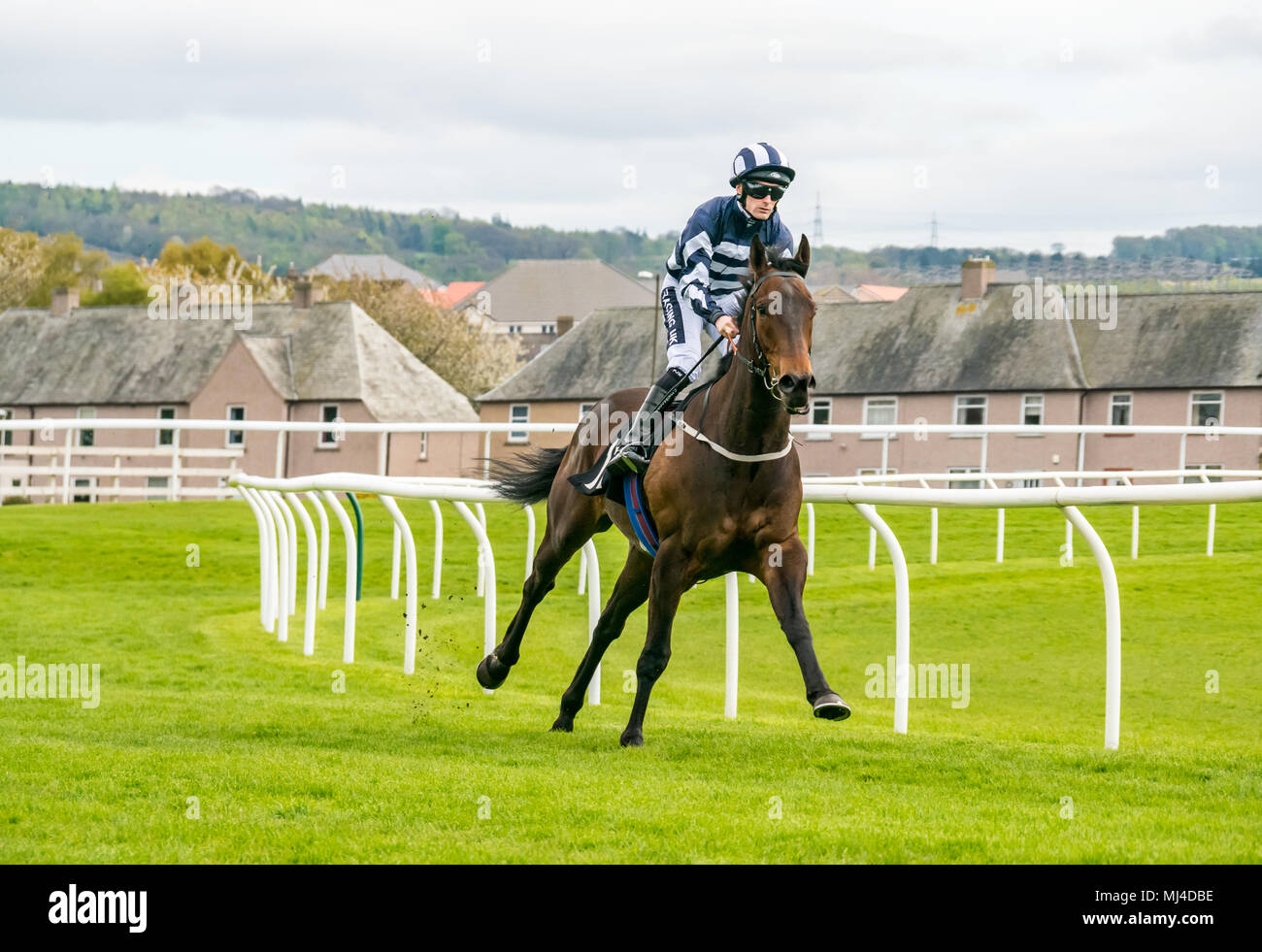 Musselburgh, Scozia, 4 maggio 2018. Musselburgh Race Course, Musselburgh, East Lothian, Scozia, Regno Unito. Una corsa di cavalli galoppa per la partenza al pomeriggio flat horse racing si incontrano. Horse 'Smuggler's Creek' cavalcato da fantino Paolo Mulrennan dall' Irlanda nell'3.10 Jackson Boyd Lawyers-More di Handicap Foto Stock