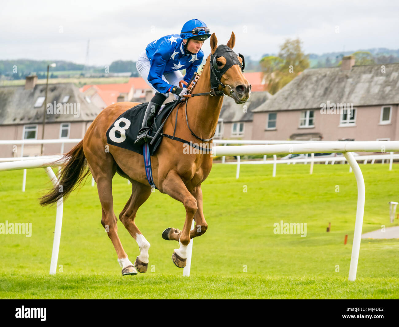 Musselburgh, Scozia, 4 maggio 2018. Musselburgh Race Course, Musselburgh, East Lothian, Scozia, Regno Unito. Una corsa di cavalli galoppa per la partenza al pomeriggio flat horse racing si incontrano. Cavallo "Zoravan' cavalcato da fantino Josh Quinn nel 3.10 Jackson Boyd Lawyers-More di Handicap Foto Stock