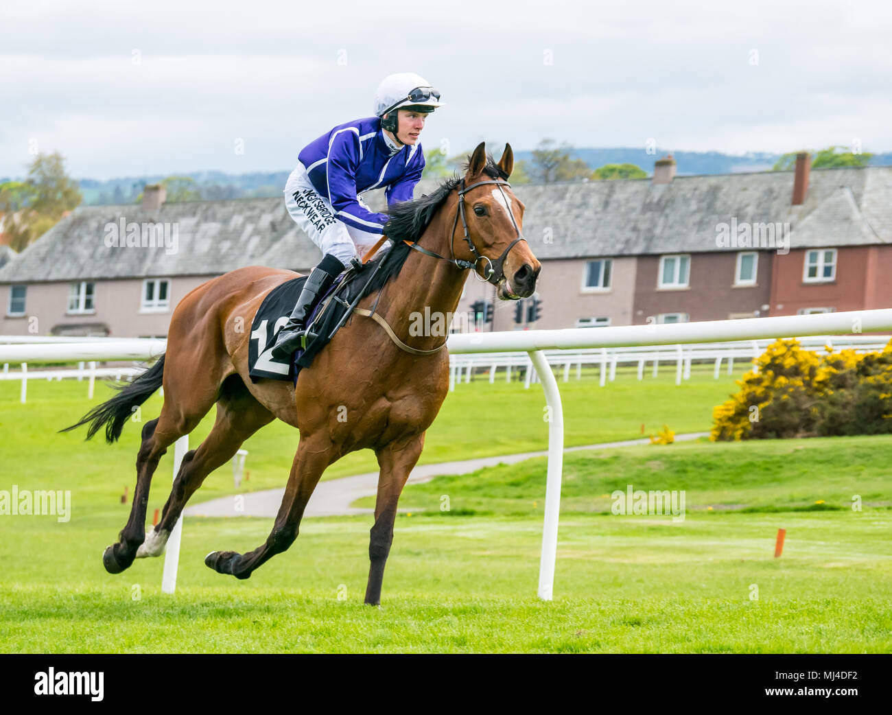 Musselburgh, Scozia, 4 maggio 2018. Musselburgh Race Course, Musselburgh, East Lothian, Scozia, Regno Unito. Una corsa di cavalli galoppa per la partenza al pomeriggio flat horse racing si incontrano. Horse 'Donnelly's Rainbow' cavalcato da fantino Phil Dennis dall' Irlanda nell'3.10 Jackson Boyd Lawyers-More di Handicap Foto Stock