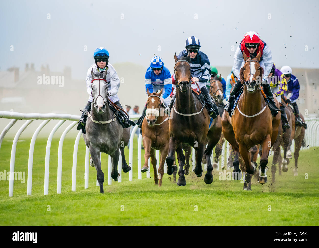 Musselburgh, Scozia, 4 maggio 2018. Musselburgh Race Course, Musselburgh, East Lothian, Scozia, Regno Unito. I cavalli da corsa il tuono del passato al pomeriggio flat racing si incontrano. La 3.10 Jackson Boyd Lawyers-More di Handicap Foto Stock