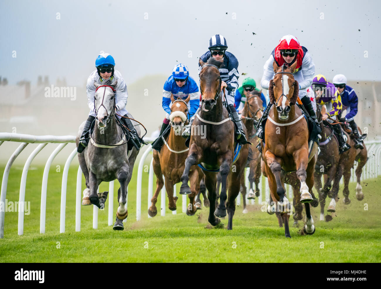 Musselburgh, Scozia, 4 maggio 2018. Musselburgh Race Course, Musselburgh, East Lothian, Scozia, Regno Unito. I cavalli da corsa il tuono del passato al pomeriggio flat racing si incontrano. La 3.10 Jackson Boyd Lawyers-More di Handicap Foto Stock