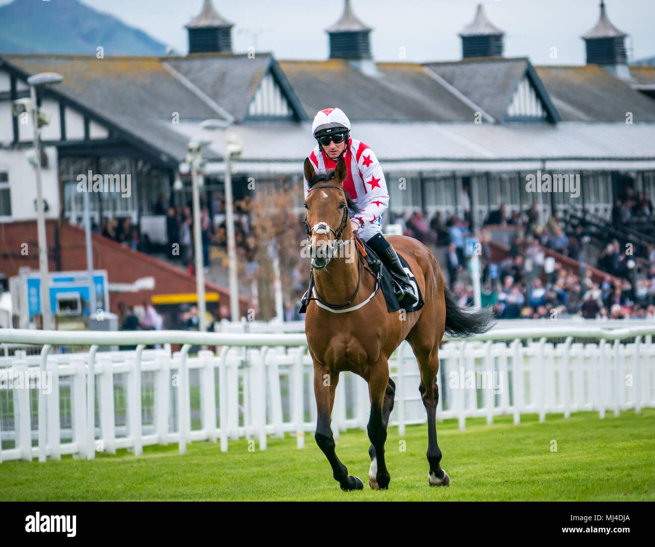 Musselburgh, Scozia, 4 maggio 2018. Circuito di Musselburgh, Musselburgh, East Lothian, Scozia, Regno Unito. Una corsa di cavalli galoppa al punto di partenza al pomeriggio piatto corsa di cavalli incontro. Cavallo ‘Rubai Acclaim’ cavalcato dal jockey Paul Hanagan Foto Stock
