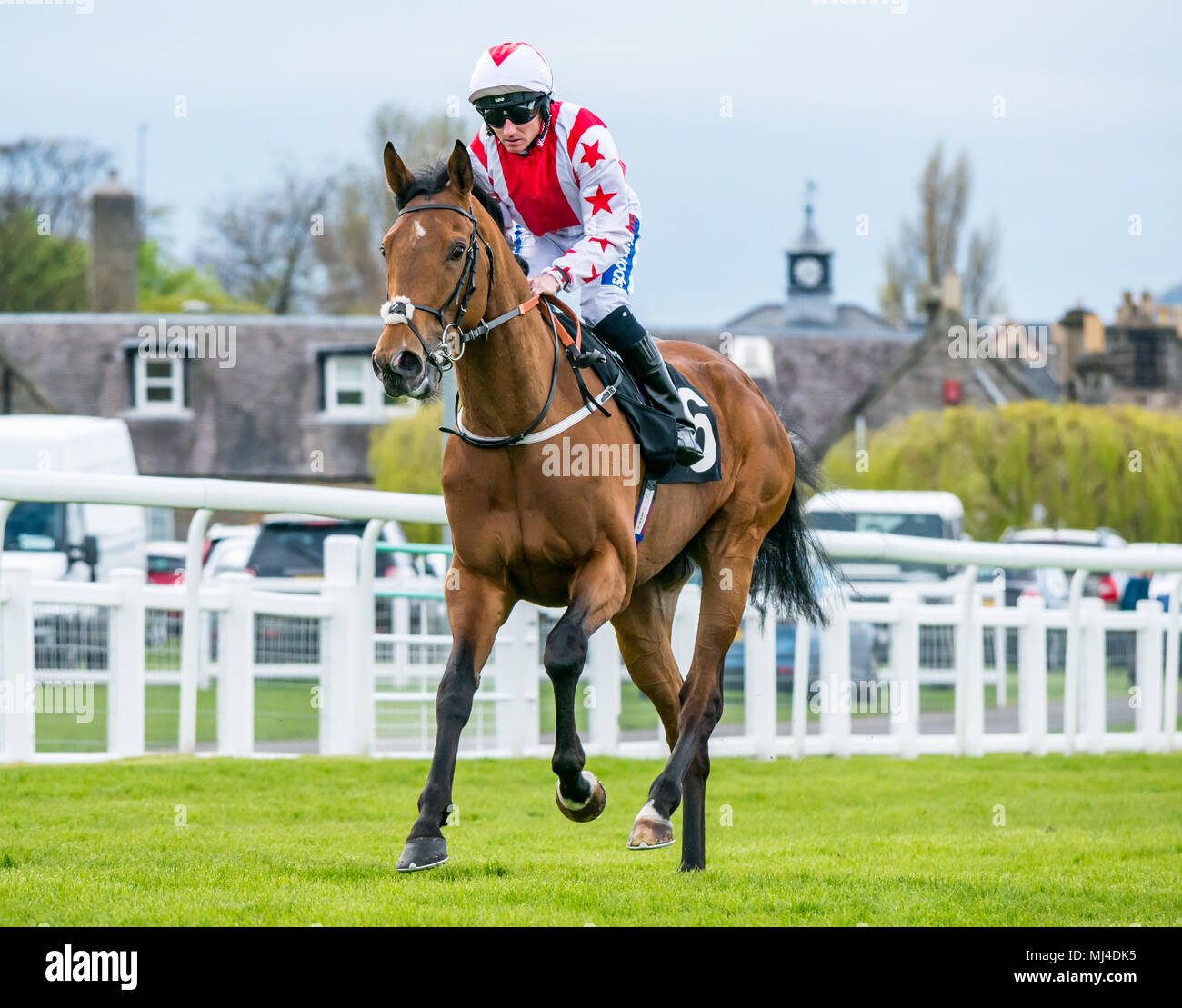 Musselburgh, Scozia, 4 maggio 2018. Circuito di Musselburgh, Musselburgh, East Lothian, Scozia, Regno Unito. Una corsa di cavalli galoppa al punto di partenza al pomeriggio piatto corsa di cavalli incontro. Cavallo ‘Rubai Acclaim’ cavalcato dal jockey Paul Hanagan Foto Stock