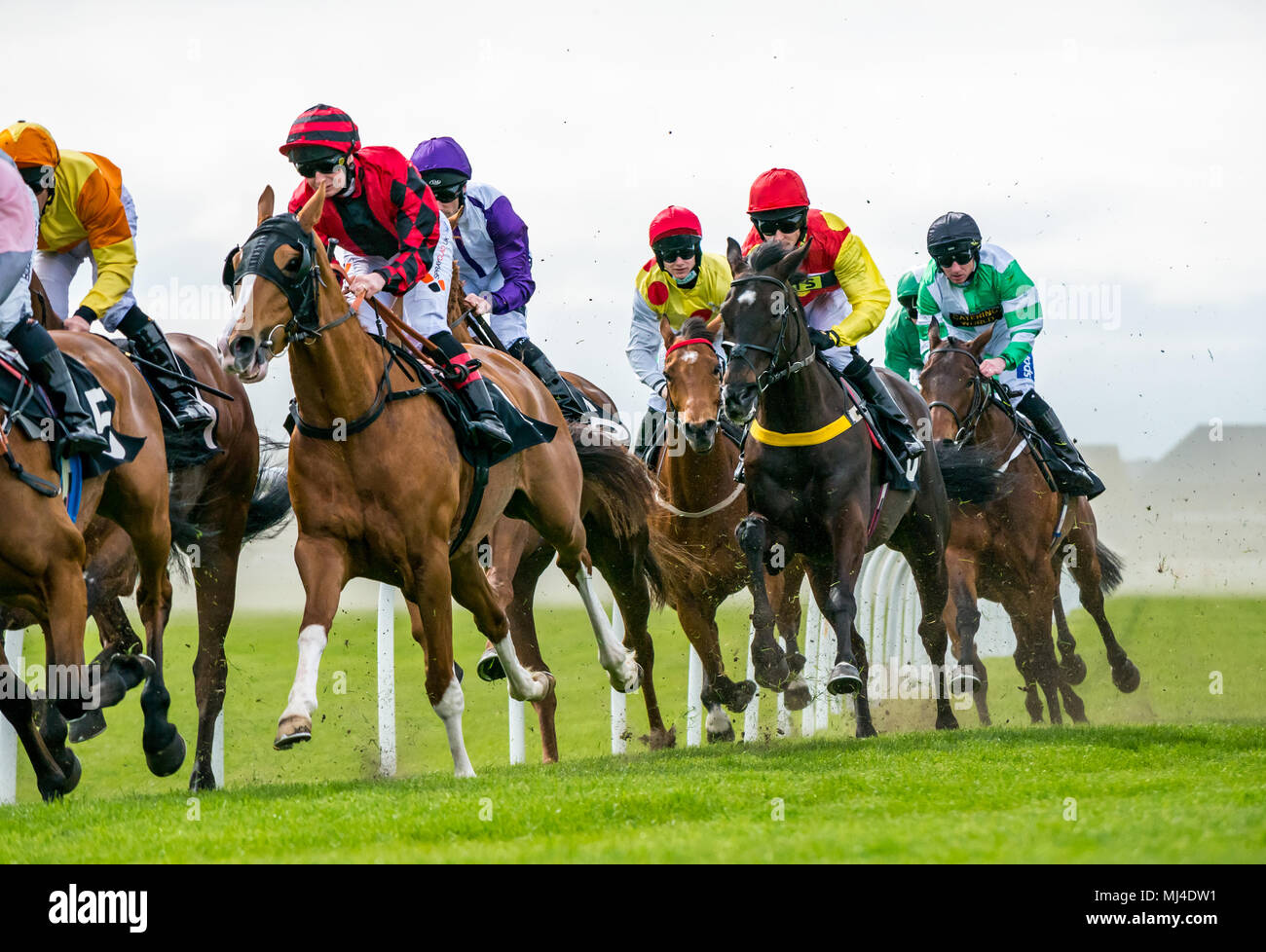 Musselburgh, Scozia, 4 maggio 2018. Musselburgh Race Course, Musselburgh, East Lothian, Scozia, Regno Unito. I cavalli da corsa il tuono del passato al pomeriggio flat racing si incontrano, il nucleo (Oil & Gas) Handicap Foto Stock