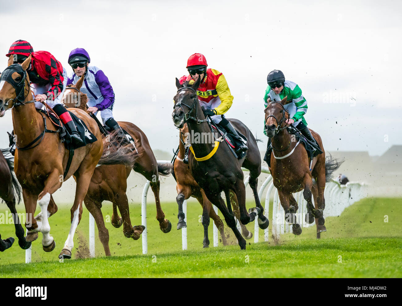 Musselburgh, Scozia, 4 maggio 2018. Musselburgh Race Course, Musselburgh, East Lothian, Scozia, Regno Unito. I cavalli da corsa il tuono del passato al pomeriggio flat racing si incontrano, il nucleo (Oil & Gas) Handicap Foto Stock
