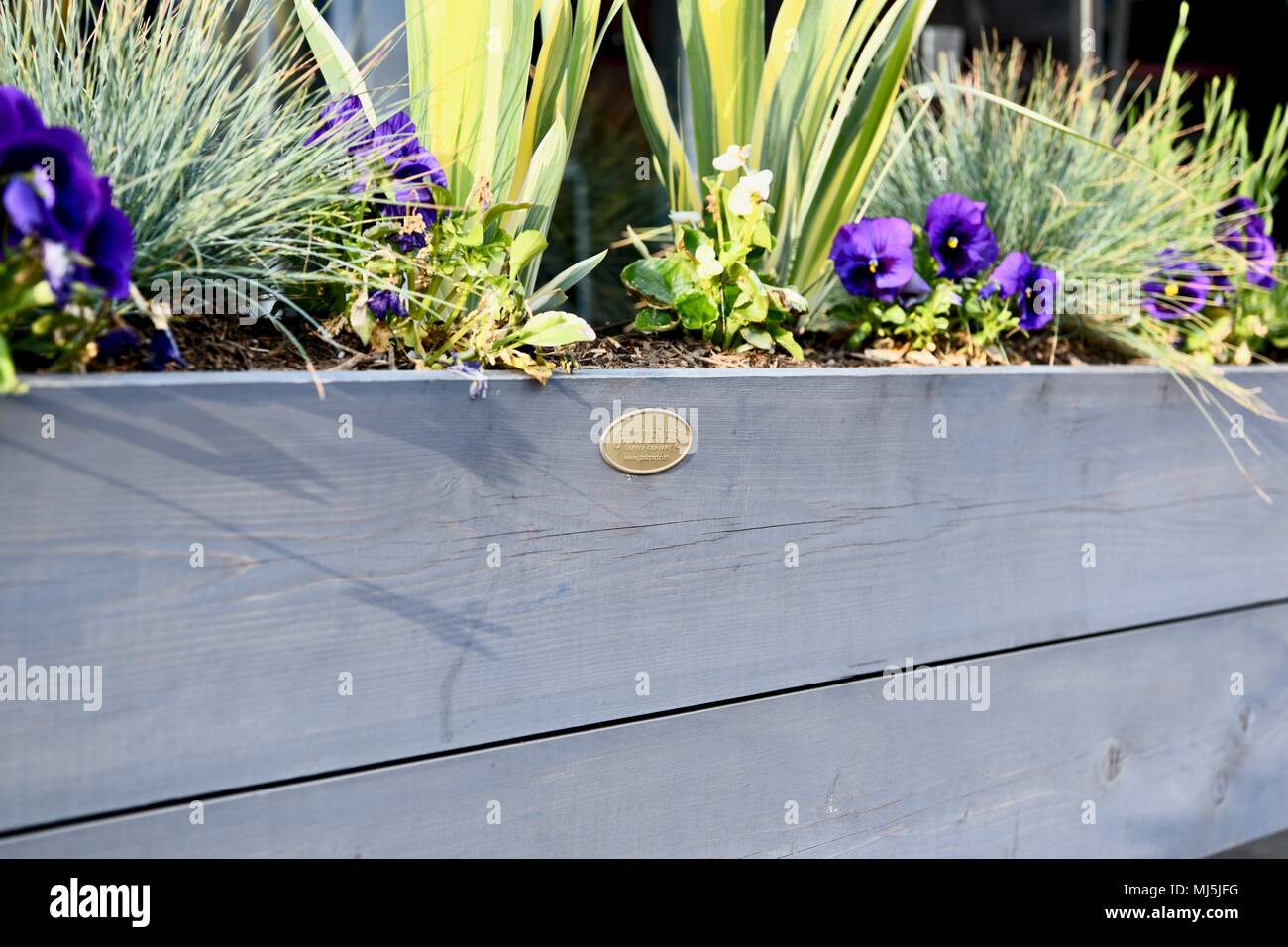 Impianto scatola piena di piante lussureggianti al di fuori di un ristorante in Annapolis, MD, Stati Uniti d'America Foto Stock