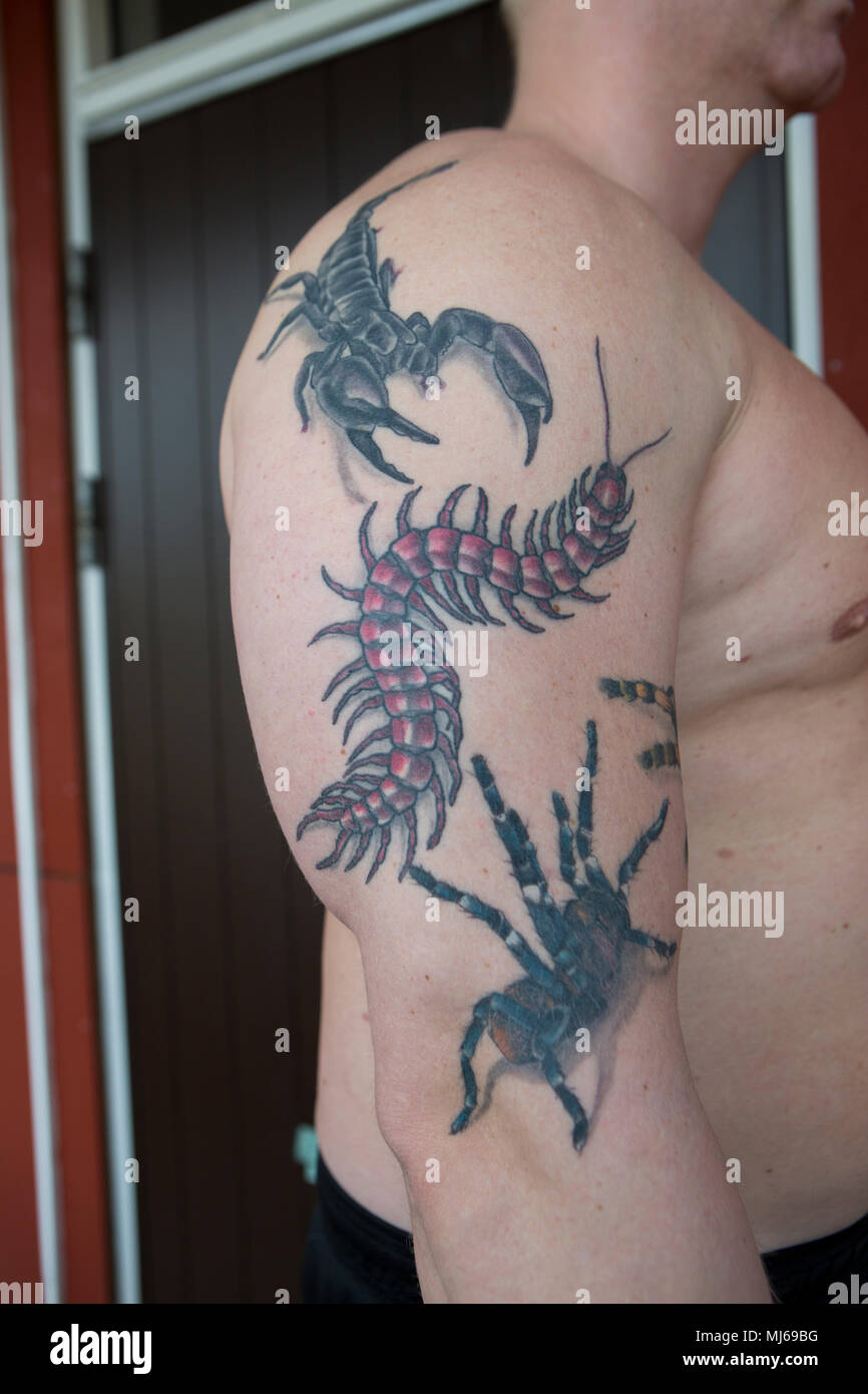 Un uomo con insetti tatuata sul corpo, Svezia. Foto Stock