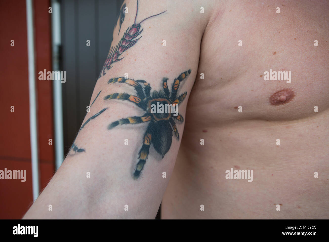Un uomo con insetti tatuata sul corpo, Svezia. Foto Stock