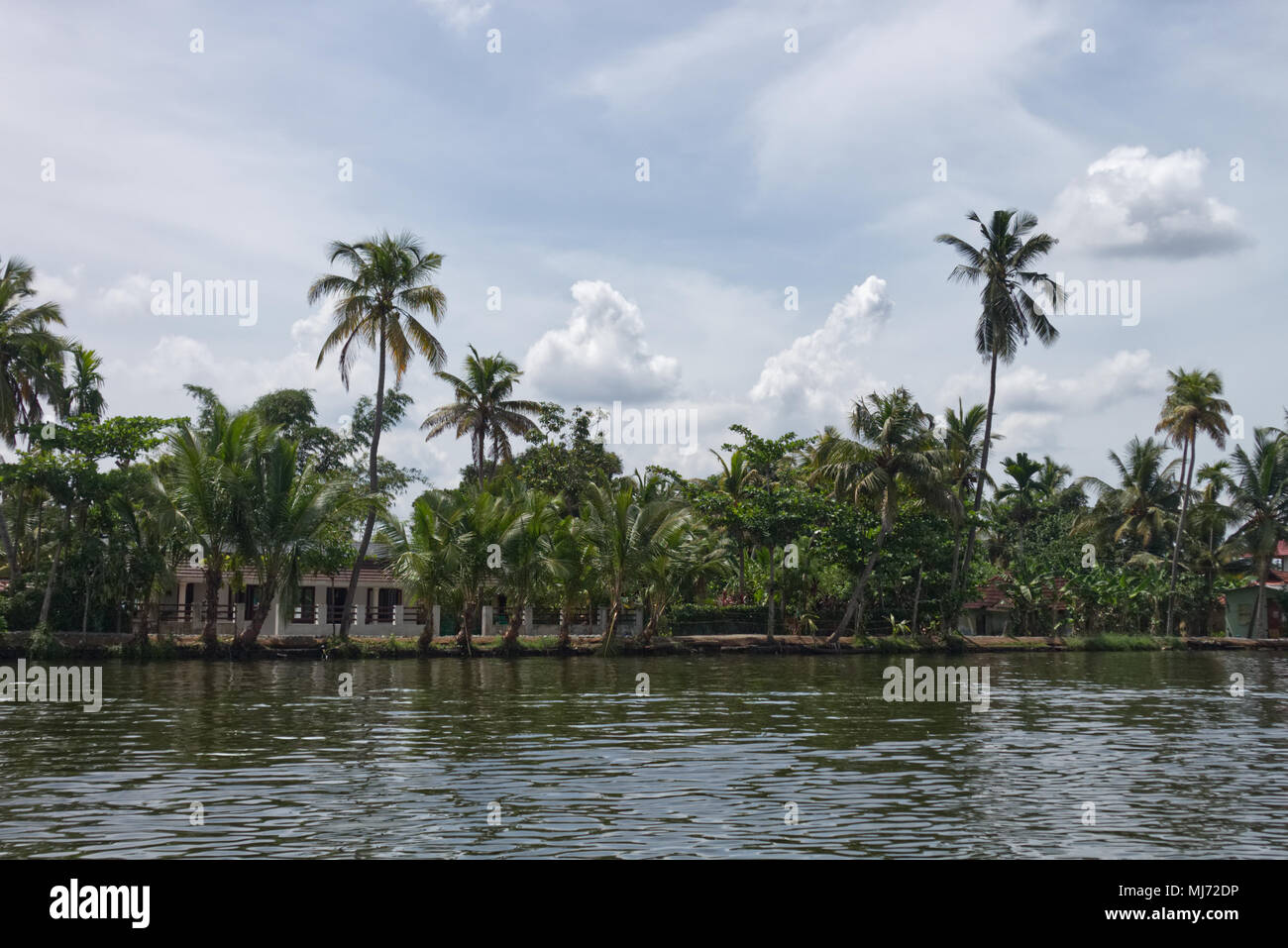 Una fotografia di rive dei corsi d'acqua di Alapuzzah nello stato del Kerala, India Foto Stock