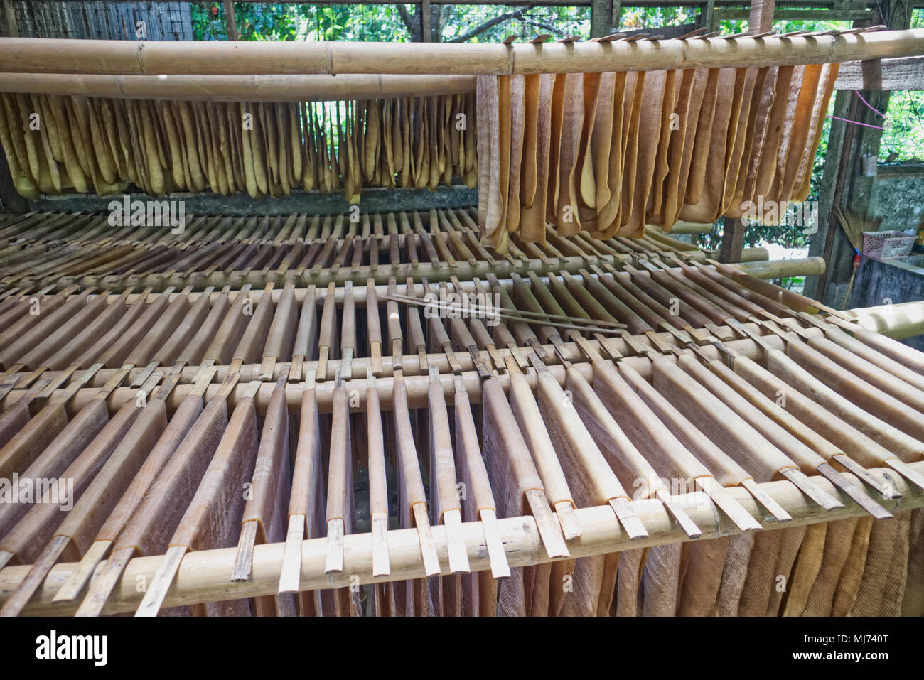 Phuket / Thailandia - 11 Aprile 2018: tappetini in gomma realizzati da sap da l'albero della gomma sono essiccazione in un piccolo laboratorio. Foto Stock