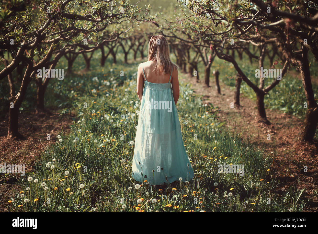 La donna in un frutteto con fiori. Vernice effetto simile Foto Stock