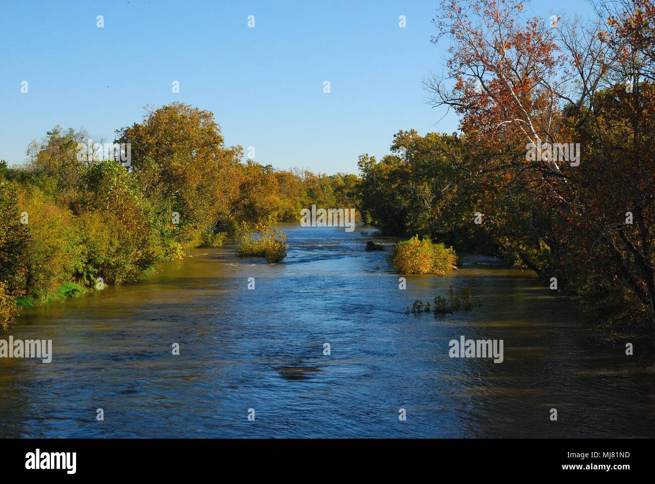 Forcella a sud del fiume Shenandoah (o a sud del fiume) Rockingham County, Virginia, Stati Uniti d'America Foto Stock
