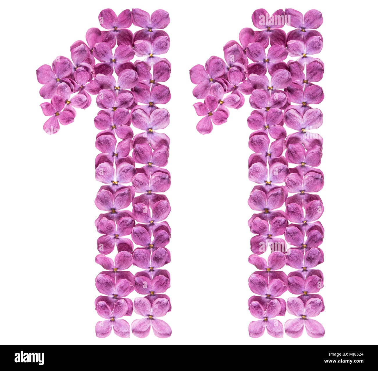 Numero arabo 11, undici, dai fiori di lilla, isolati su sfondo bianco Foto Stock