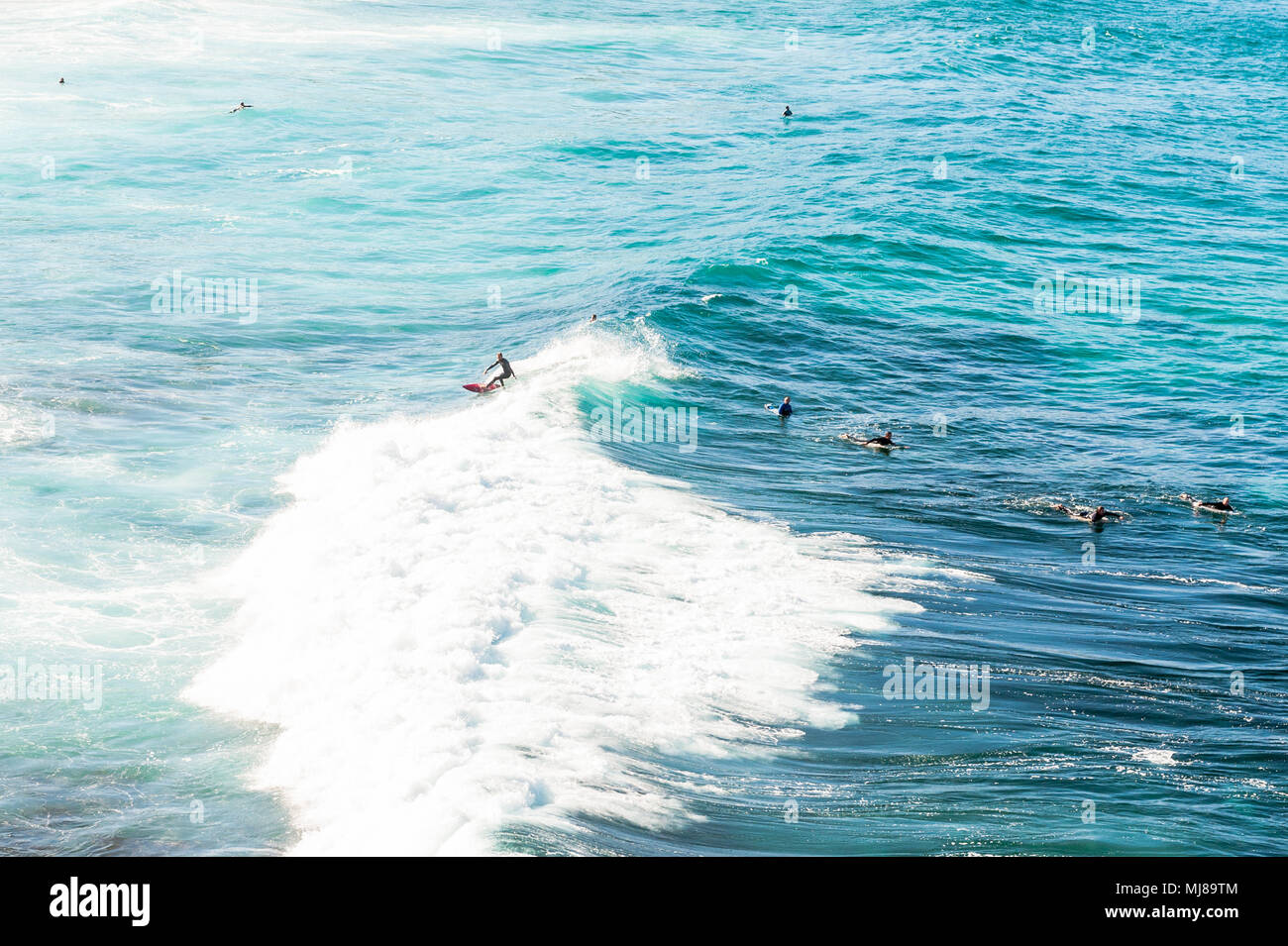 Sufers godere di grandi onde a Bondi Beach Sydney New South Wales, Australia. Foto Stock