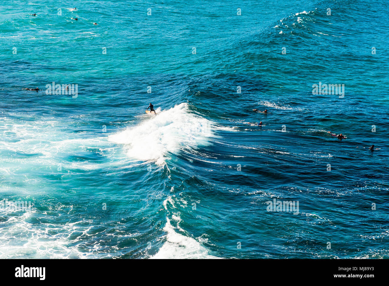 Sufers godere di grandi onde a Bondi Beach Sydney New South Wales, Australia. Foto Stock