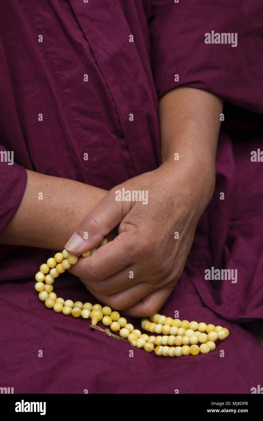 Close up della persona che indossa manto di porpora tenendo i grani di preghiera. Foto Stock