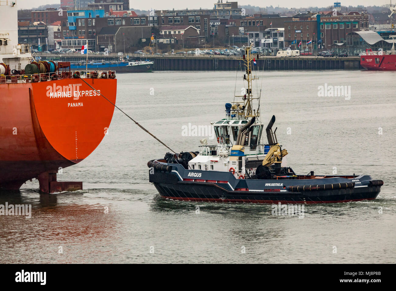 Porto di Ijmuiden in North Holland, Paesi Bassi, porto rimorchiatore, rimorchiatore, Foto Stock