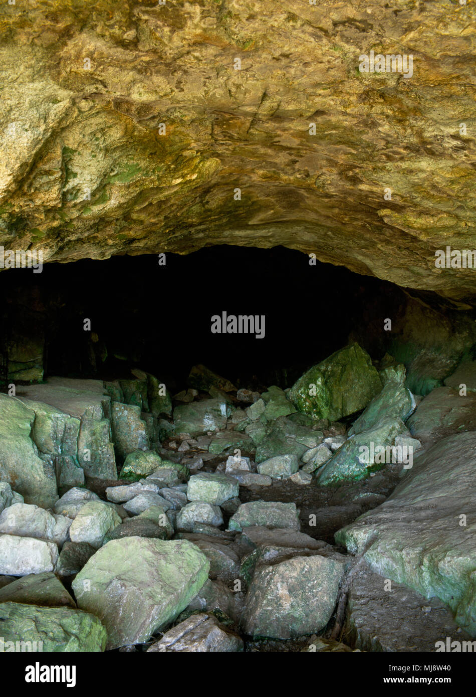 Grotta bocca all'estremità est di interconnessi preistorici rifugio di roccia e le grotte di roccia calcarea sotto Gop Cairn, Gop Hill, Trelawnyd, Flintshire, Regno Unito Foto Stock