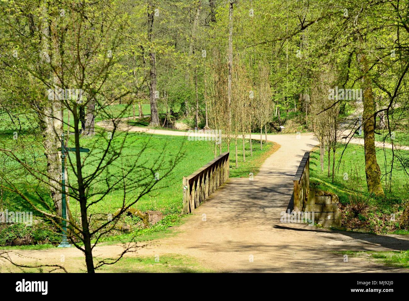 Percorso a piedi attraverso il parco verde in una giornata di sole. Il castello di Vlasim park. Foto Stock