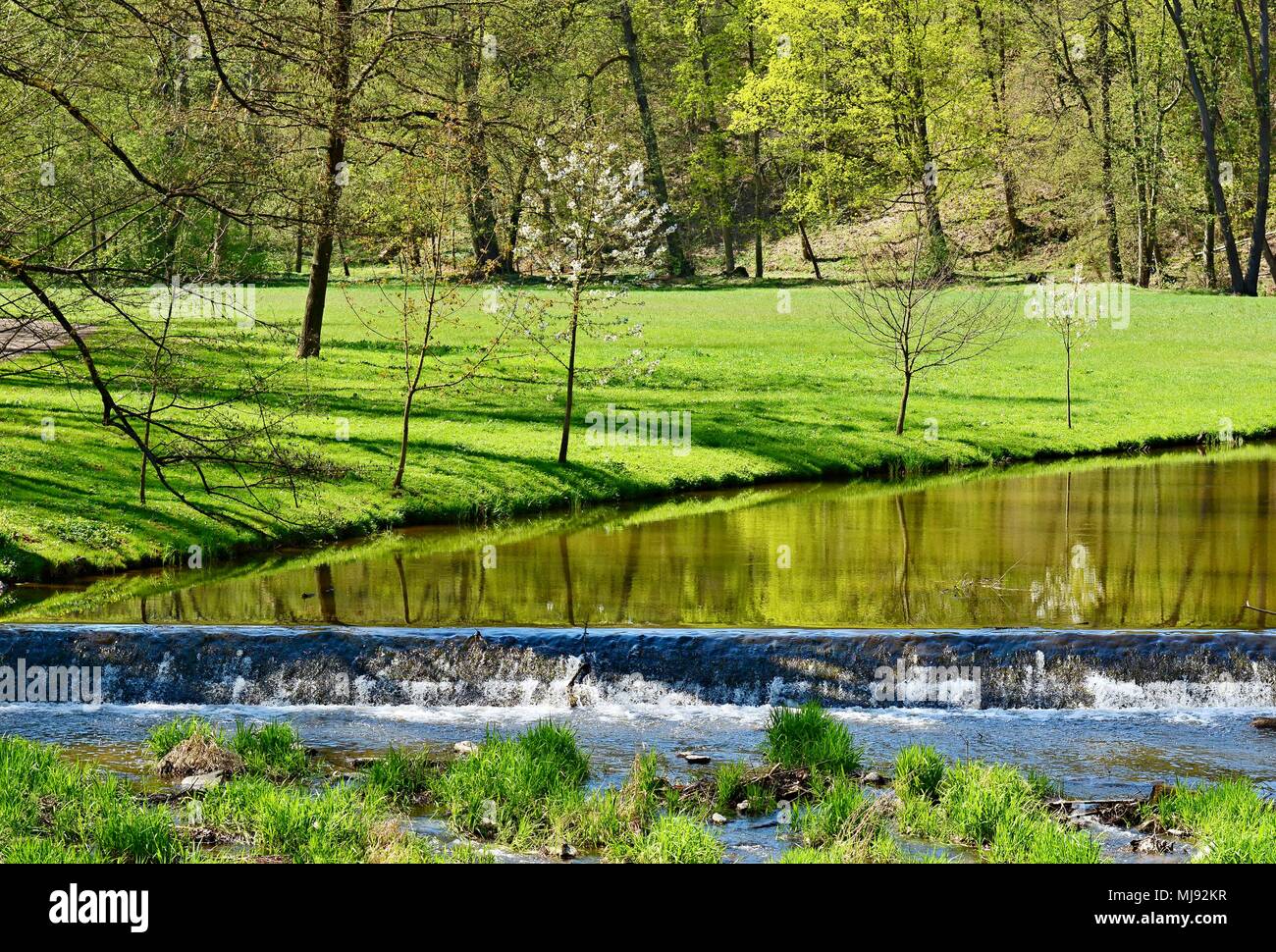 Vista di un fiume nel verde del parco in una giornata di sole. Il castello di Vlasim park. Foto Stock