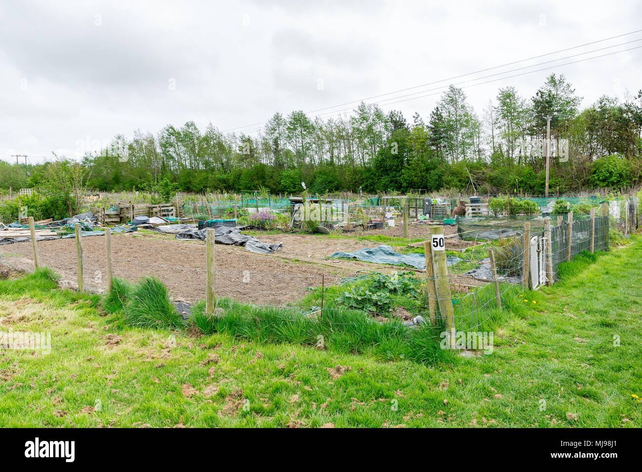 Riparto tenute presso il campo accanto al meraviglioso fienile vicino a Leixlip County Kildare Irlanda affittato da un individuo per la coltivazione di ortaggi o fiori. Foto Stock