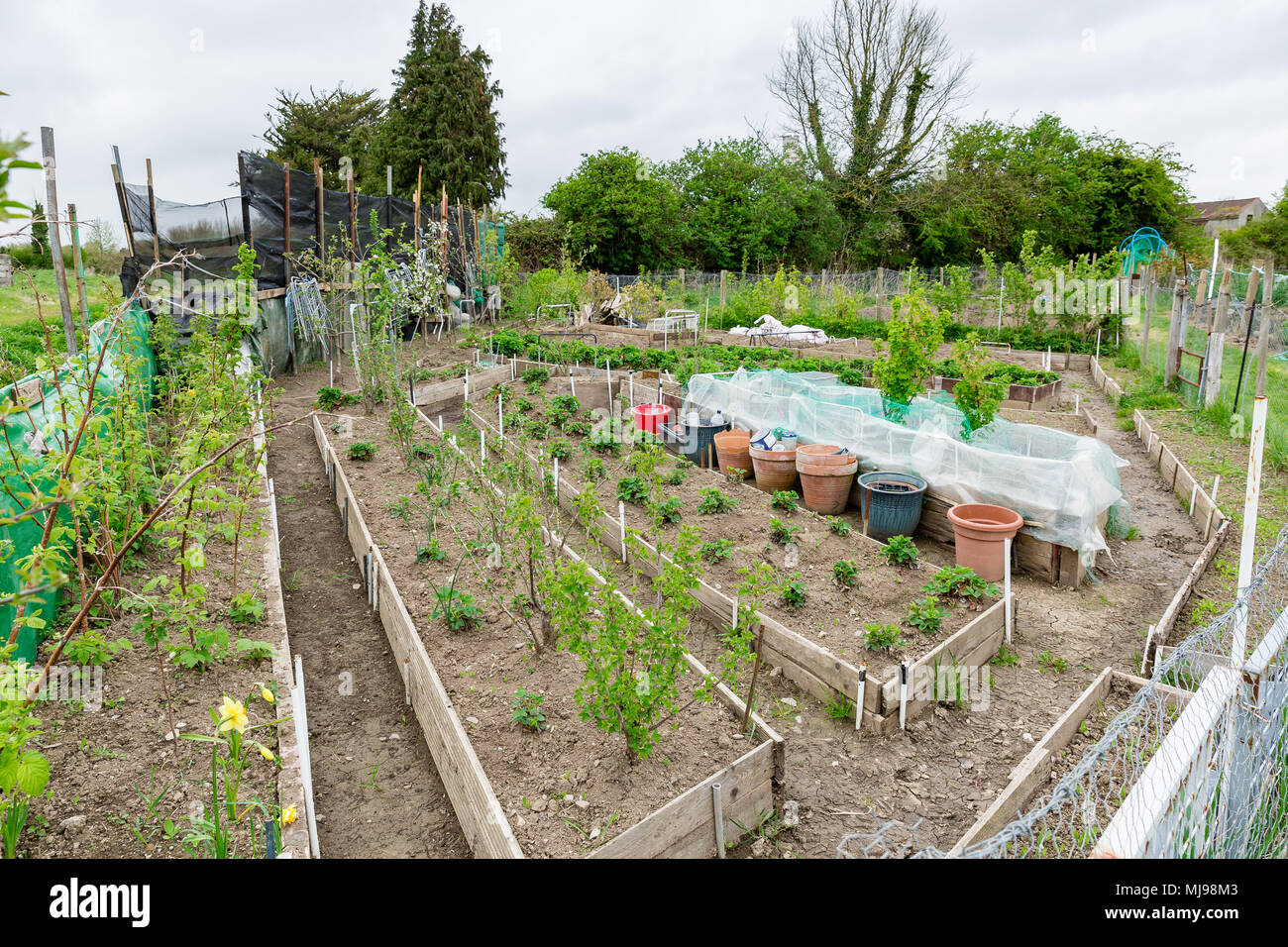 Riparto tenute presso il campo accanto al meraviglioso fienile vicino a Leixlip County Kildare Irlanda affittato da un individuo per la coltivazione di ortaggi o fiori. Foto Stock