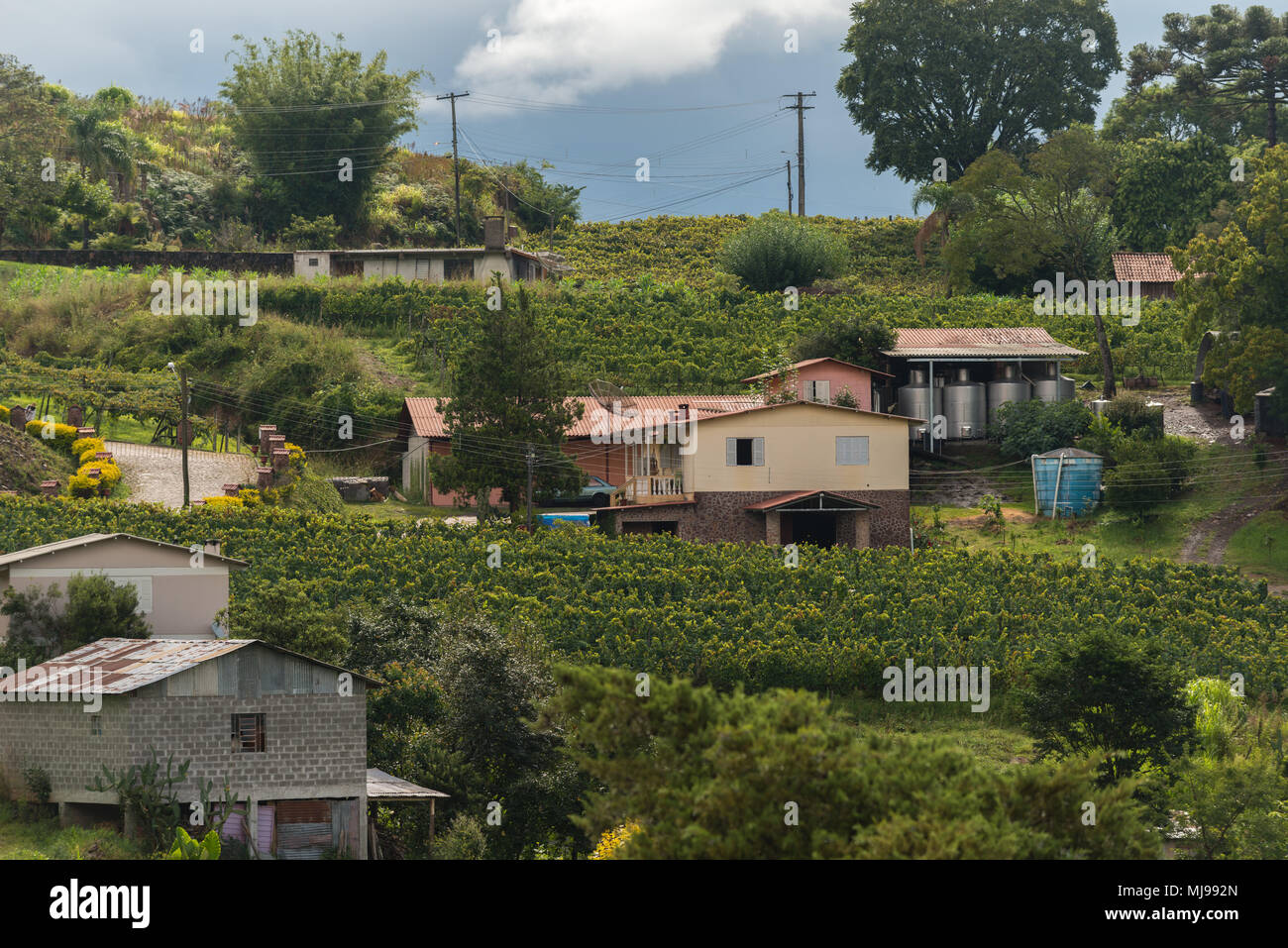 Vale dos Vinhedos, Rio Grande do Sul, Brasile, America Latina Foto Stock
