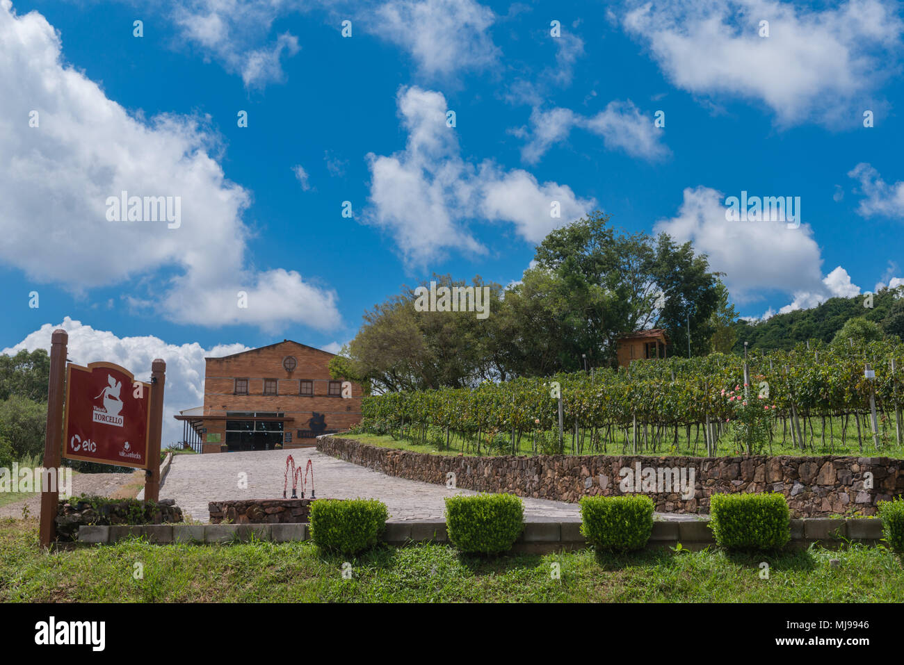 Vale dos Vinhedos, Rio Grande do Sul, Brasile, America Latina Foto Stock