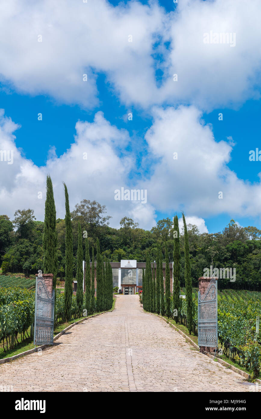 Vale dos Vinhedos, Rio Grande do Sul, Brasile, America Latina Foto Stock