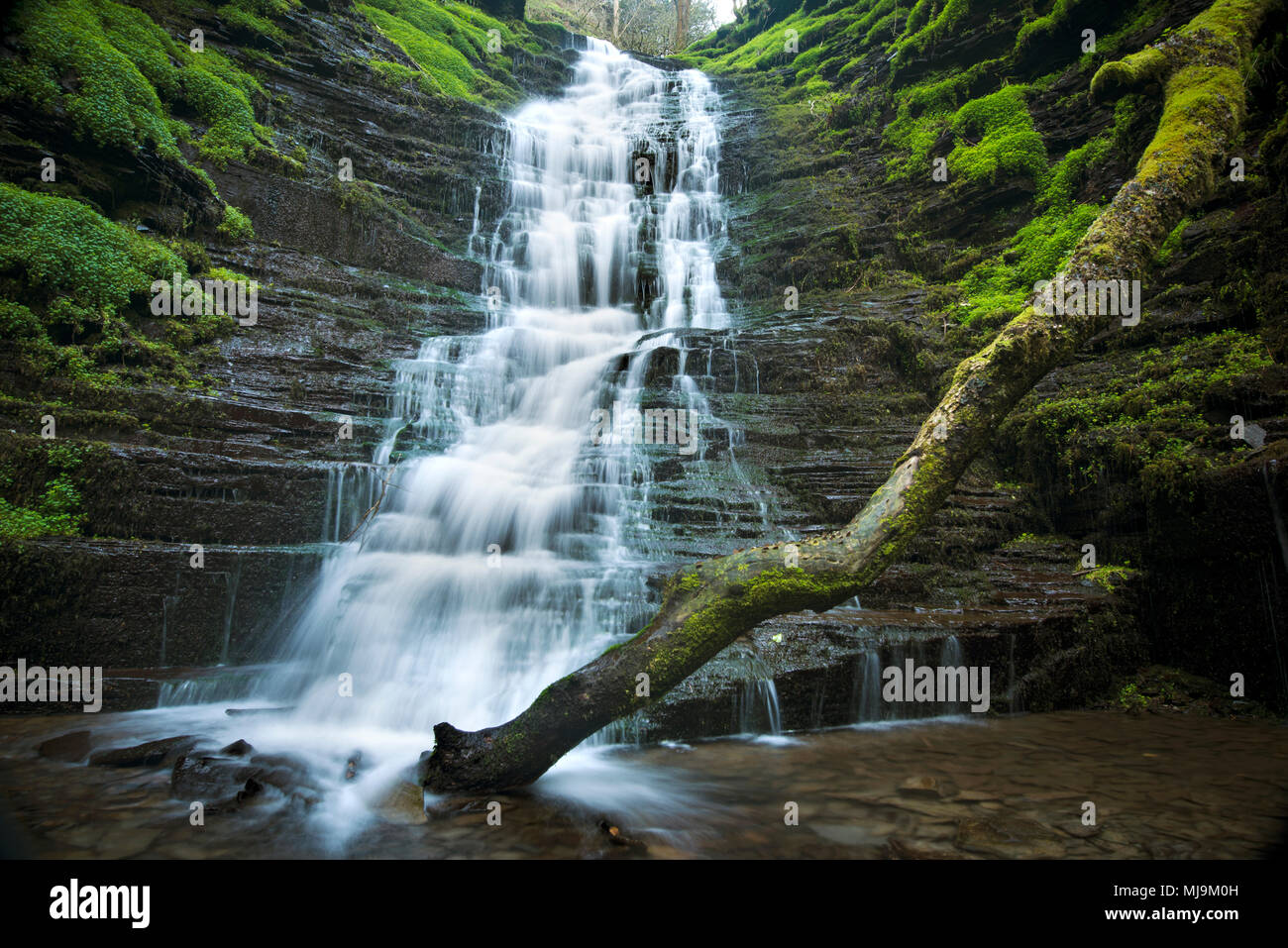 Acqua-break-il suo collo a cascata nella foresta Radnor, Galles Foto Stock