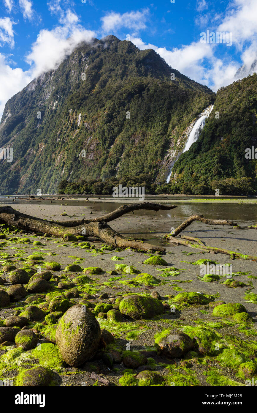 Milford Sound Nuova Zelanda Milford Sound Mitre peak parco nazionale di Fiordland Southland Nuova Zelanda Fjordland National Park South Island nz Foto Stock