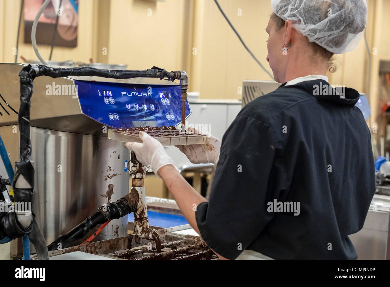 Sant'Agostino, Florida - un lavoratore presso la Whetstone cioccolatini fabbrica. La società produce e vende cioccolatini artigianali in Sant'Agostino storico del dist Foto Stock