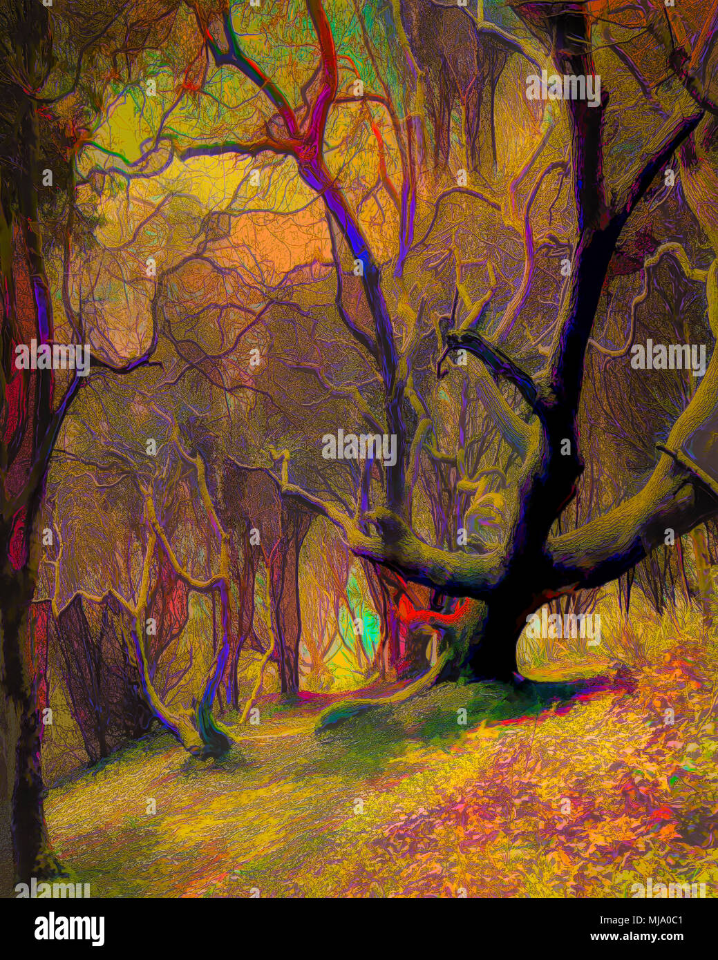 Arte digitale: il vecchio albero Foto Stock