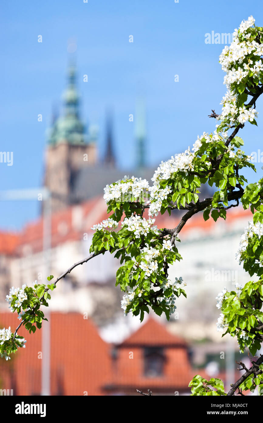 Prazský hrad, chram sv. Vita di un quartiere di Mala Strana, Praha (UNESCO), Ceska republika Foto Stock