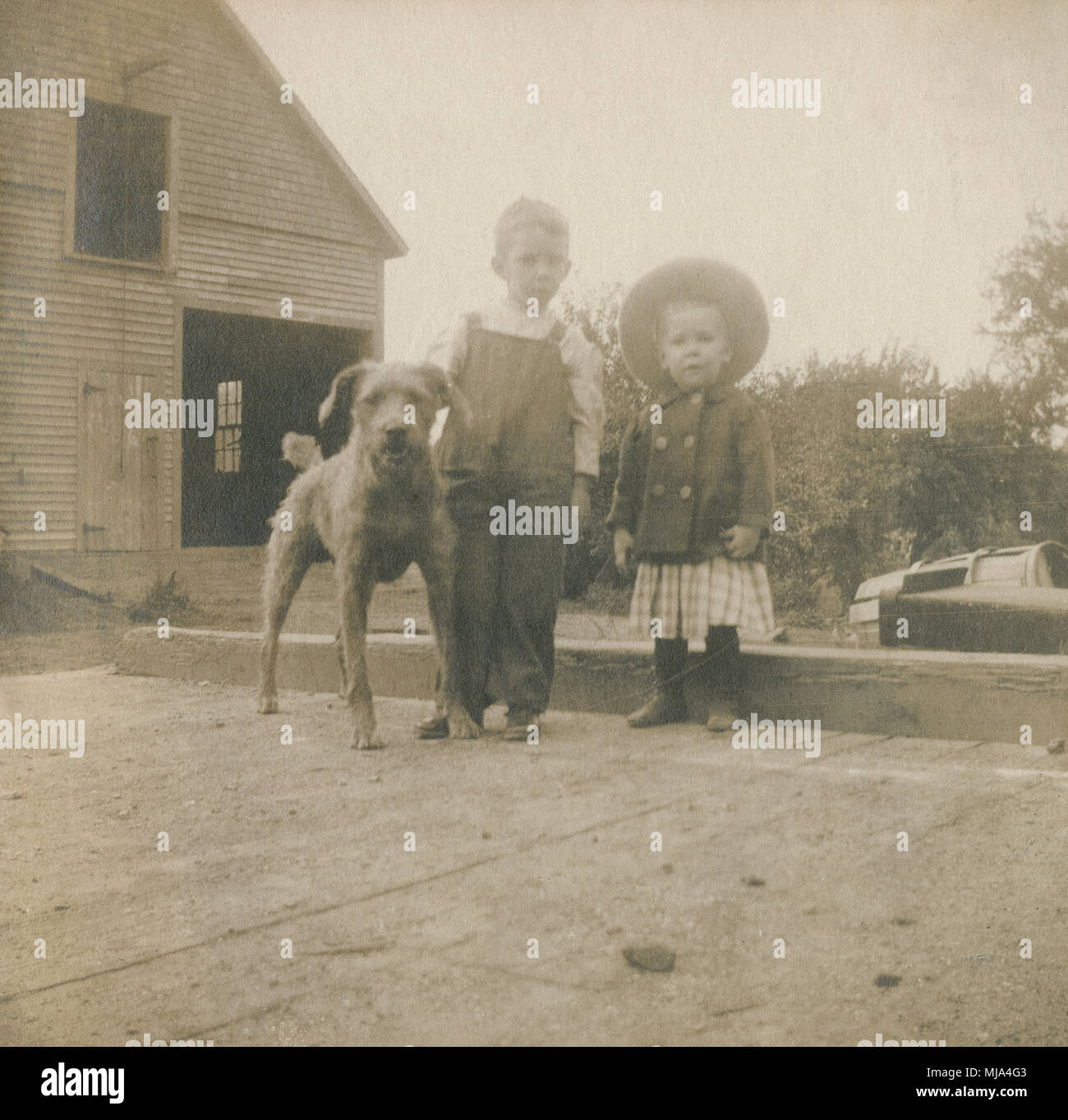 Antique c1904 fotografia, due giovani ragazzi e cane vicino fienile. Posizione sconosciuta, probabilmente la Nuova Inghilterra, Stati Uniti d'America. Fonte: originale stampa fotografica. Foto Stock