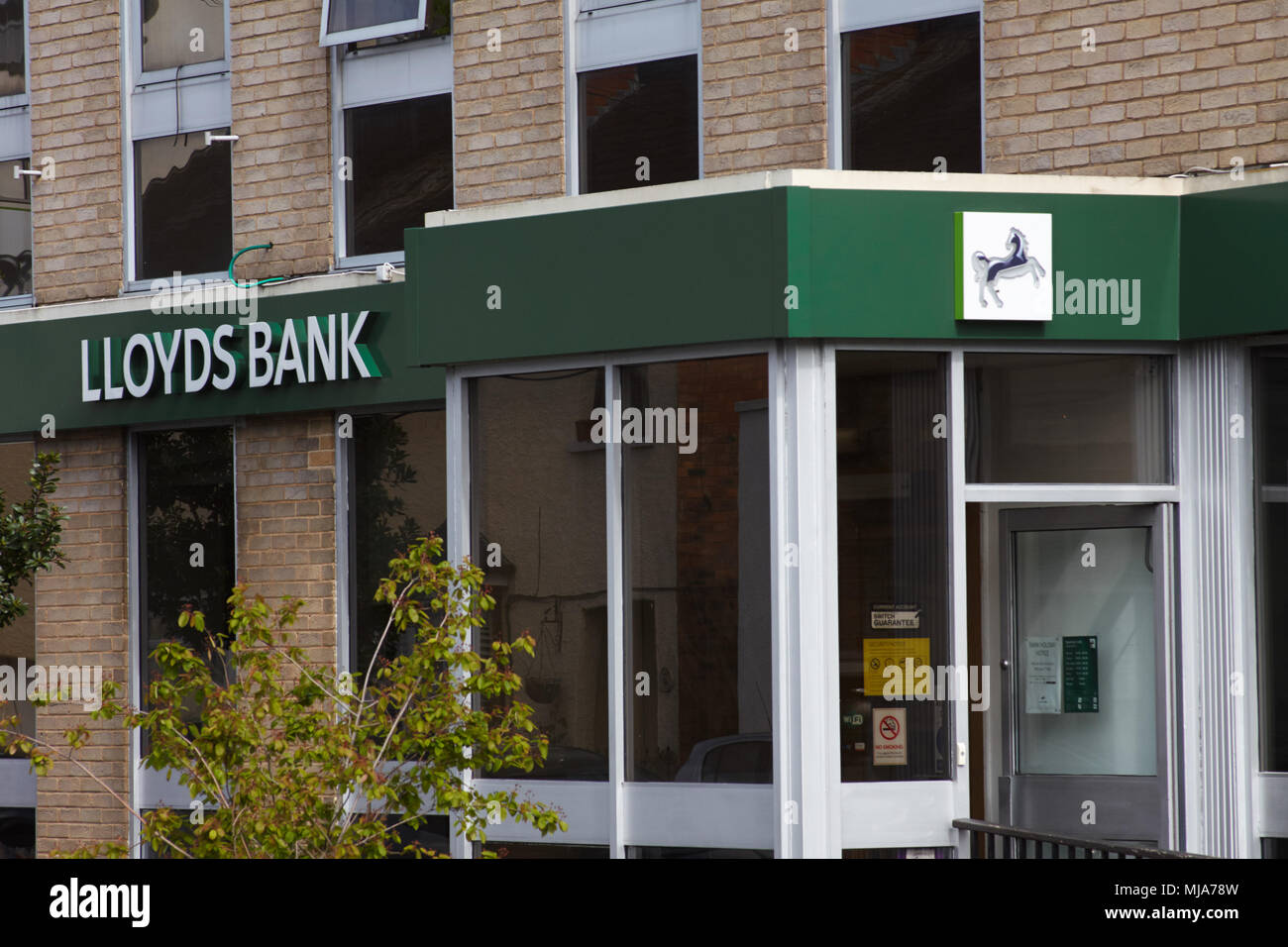 La filiale locale di Lloyds Bank in Bath Road, Cheltenham, Gloucestershire. Foto Stock
