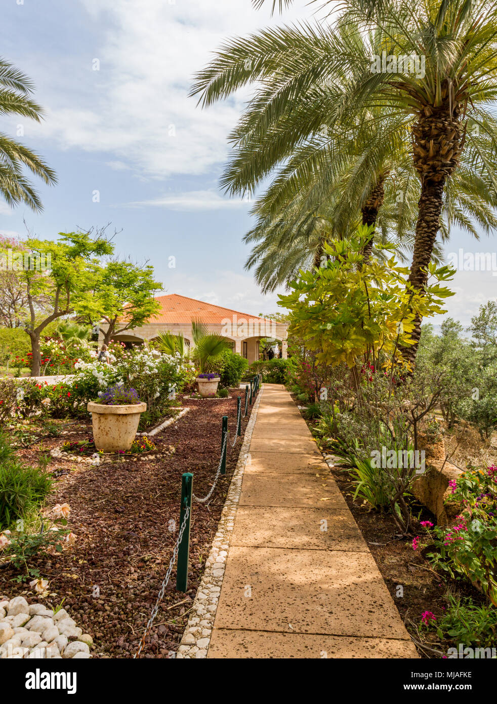 Giardino della Chiesa delle beatitudini dove Gesù predicava il sermone della montagna. Foto Stock